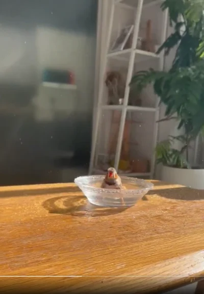 スッキリしたかな？▶絵になります（⇒次へ）