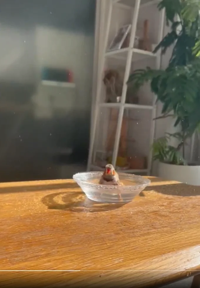 スッキリしたかな？▶絵になります（⇒次へ）