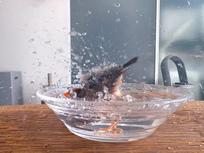 美しい水しぶきです▶浸かるのが至高（⇒次へ）