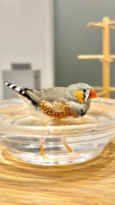 足がながーーーいムニンちゃん▶もちむちぃ…（⇒次へ）