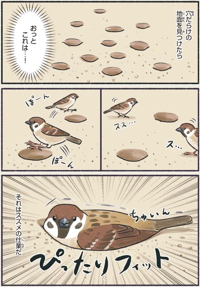 『意外と知らない鳥の生活』より