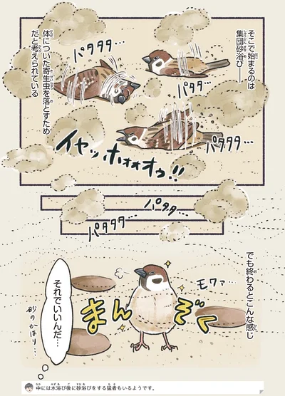 『意外と知らない鳥の生活』より