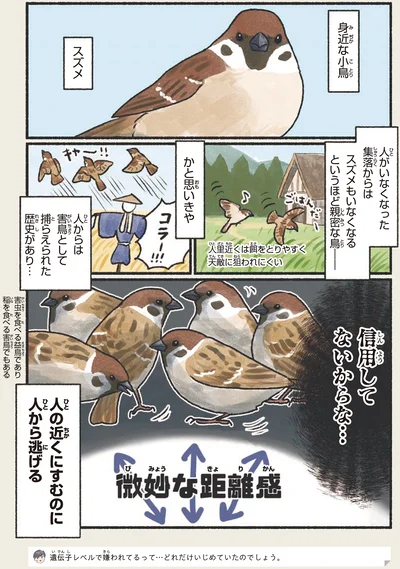 『意外と知らない鳥の生活』より