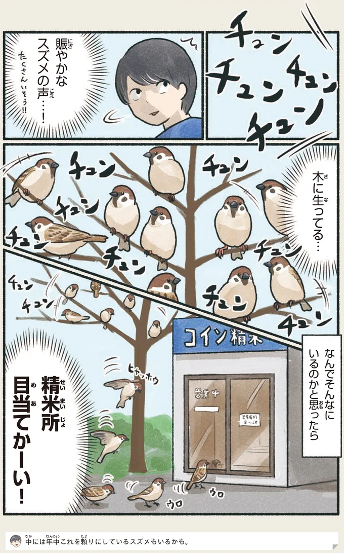 『意外と知らない鳥の生活』より