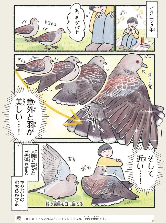 『意外と知らない鳥の生活』より