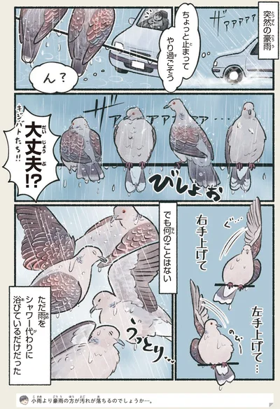 『意外と知らない鳥の生活』より