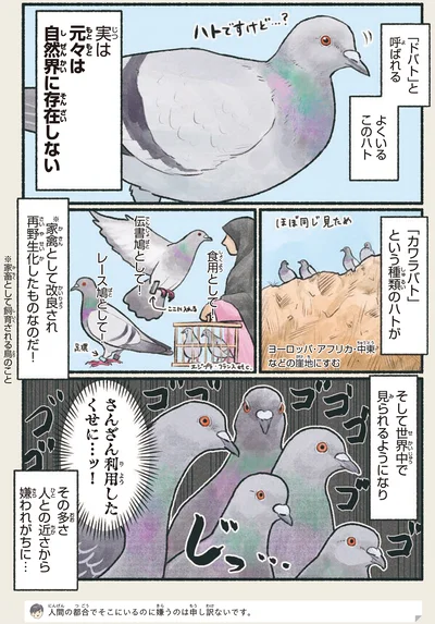 『意外と知らない鳥の生活』より