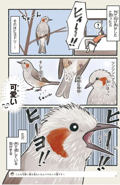 『意外と知らない鳥の生活』より