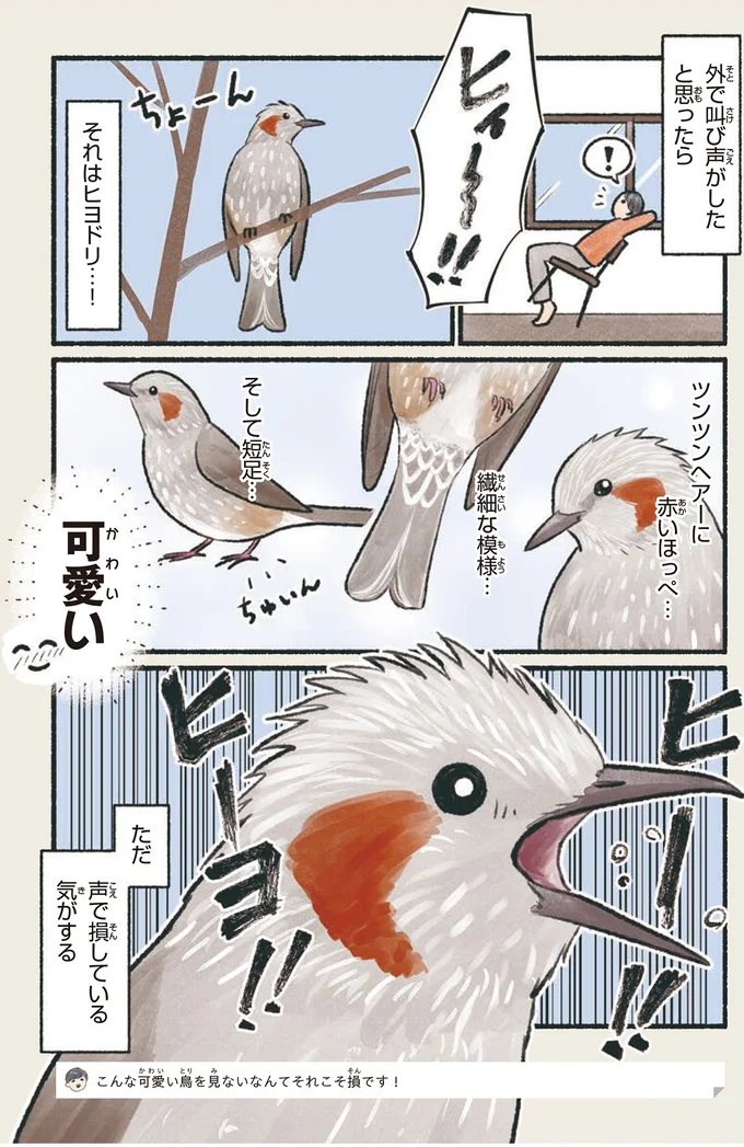 『意外と知らない鳥の生活』より