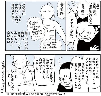  『50代おひとり様、５％の希少乳がんになりました』より