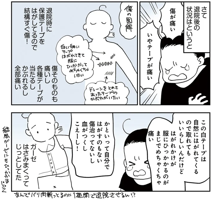  『50代おひとり様、５％の希少乳がんになりました』より
