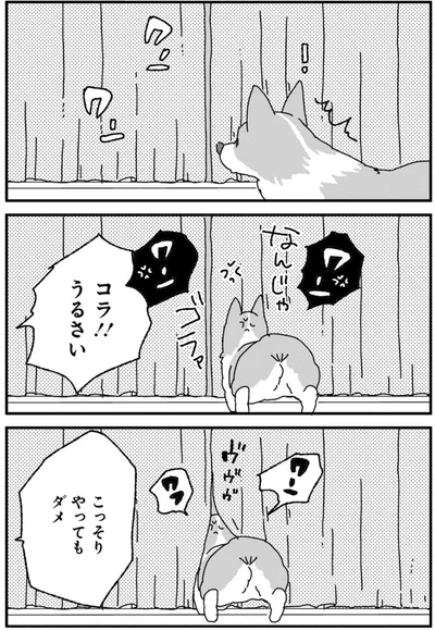 『あしょんでよッ〜うちの犬ログ〜2』より