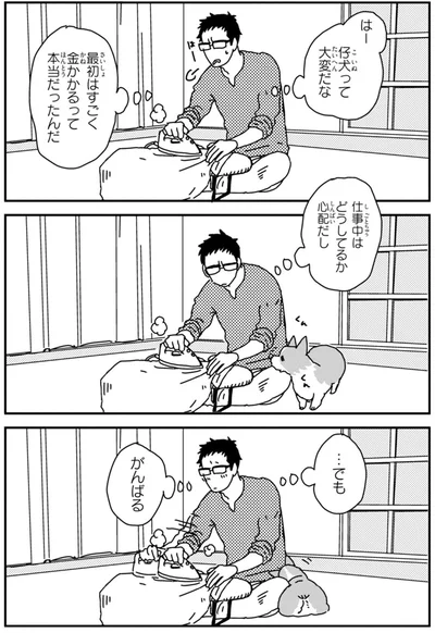 『あしょんでよッ〜うちの犬ログ〜2』より