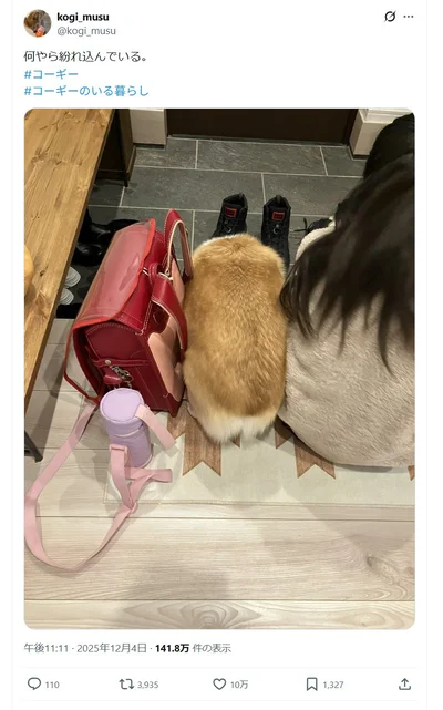 朝の出発準備OK！何か違和感が…▶学校の荷物に紛れ込んでいたのは…（⇒次）