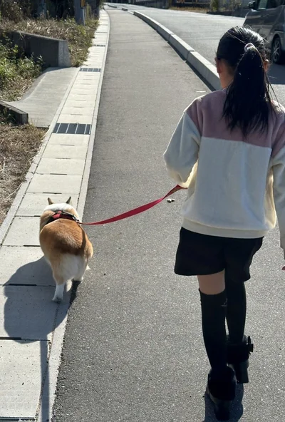 お散歩の後ろ姿にほっこり♪▶娘さんを起こしに行ったと思ったら…（⇒次）