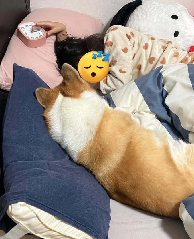 添い寝するグリコちゃん▶グリコちゃんにカメラを向けると…（⇒次）