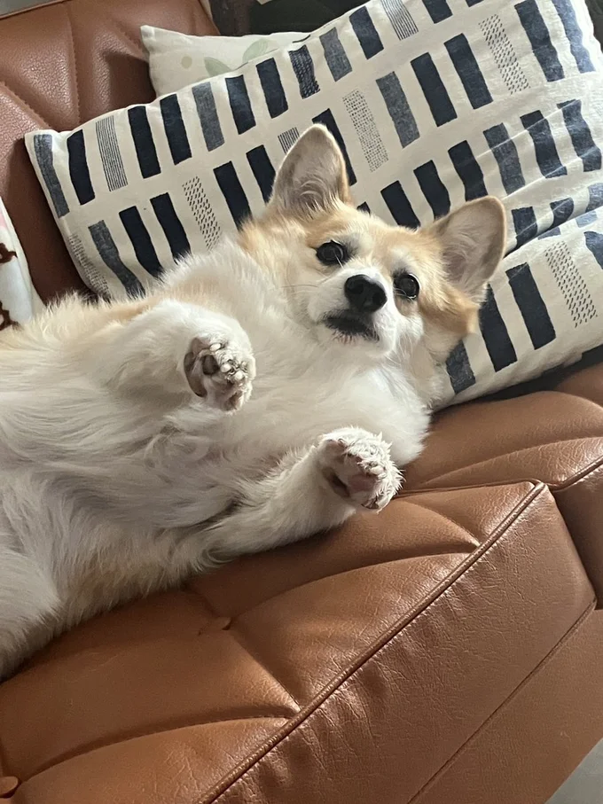 突然撮られてびっくりした？▶グリコちゃんに土下座してるように見える娘さん（⇒次）