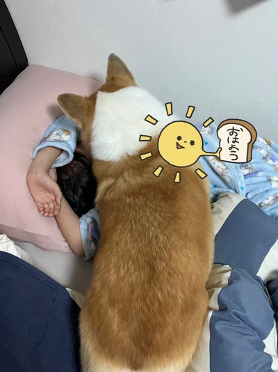 「起きるまでどきませんよ！」▶見つめ合う娘さんとグリコちゃん（⇒次）