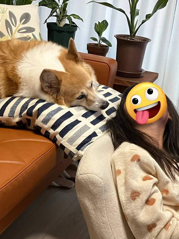 やさしいまなざしのグリコちゃん▶朝から必死なグリコちゃん。その訳は…（⇒次）