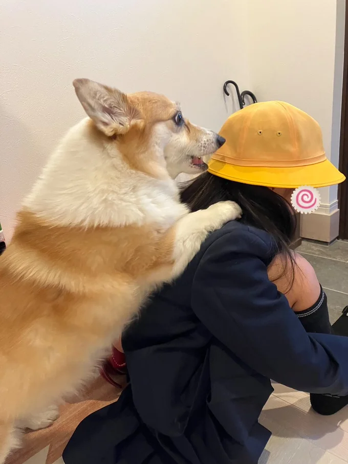 連れてけ連れてけー！▶ソファでリラックス中のグリコちゃん（⇒次）