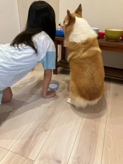 何して遊ぶの？▶娘さんの謎の遊びの相手をするグリコちゃん（⇒次）