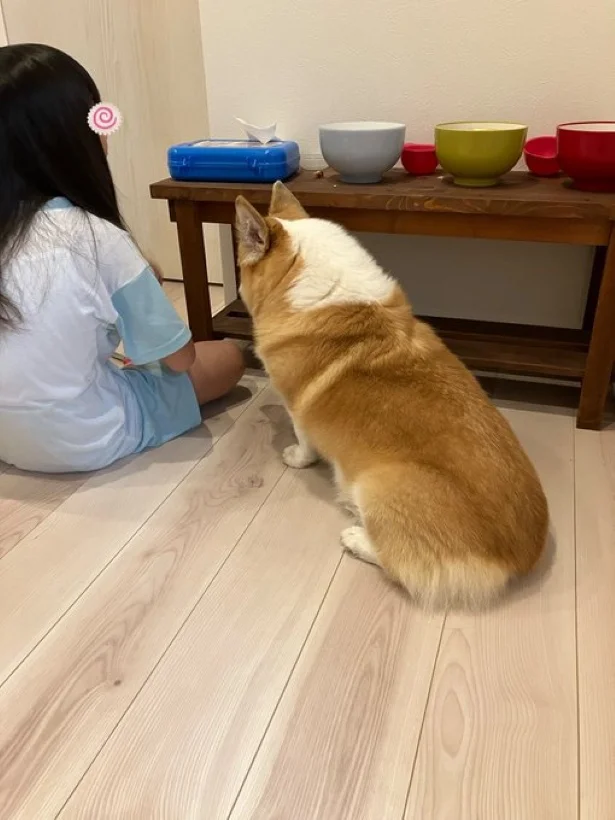 ねえねえ！早く遊ぼう！▶不思議そうに見つめるグリコちゃん（⇒次）