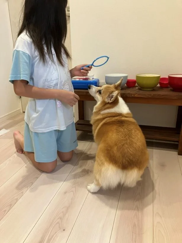 それはなあに？▶姉妹のようなふたりの関係（⇒次）