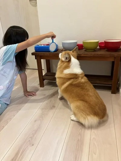 最後までしっかり付き合うグリコちゃん▶お菓子を選ぶふたり（⇒次）