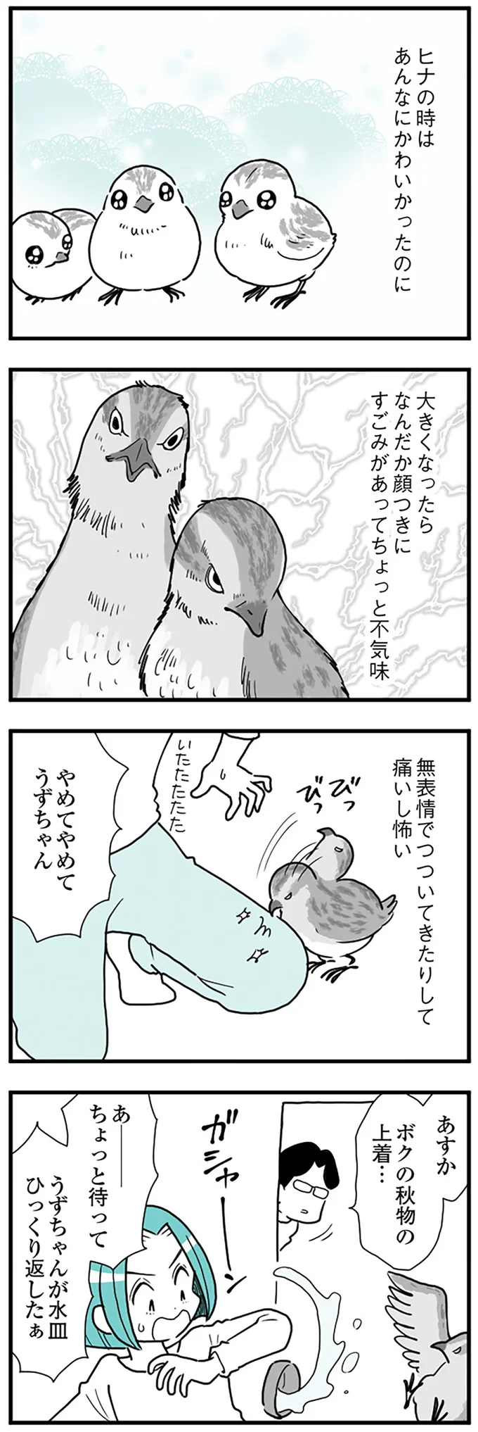  『うずら男〜モラハラかまって夫が人間をやめるまで〜』より