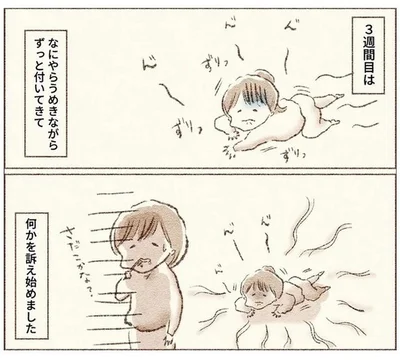 3週間目はうめきながら母のあとを付いてくるように…