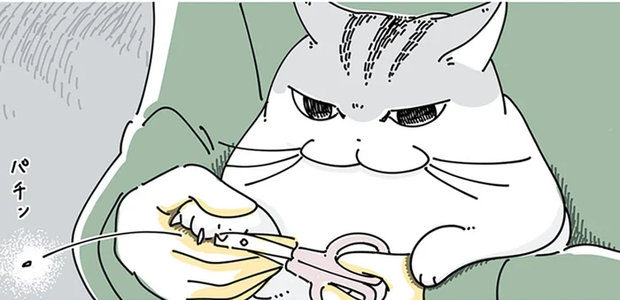 爪切りにひどく不満げな猫。はじめは大人しくても、どんどん落ち着かなくなってきて