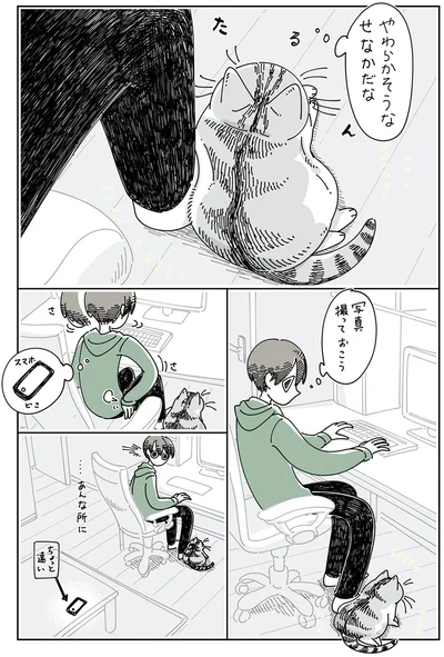 やわらかそうなせなかだな