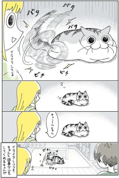 イライラしつつも