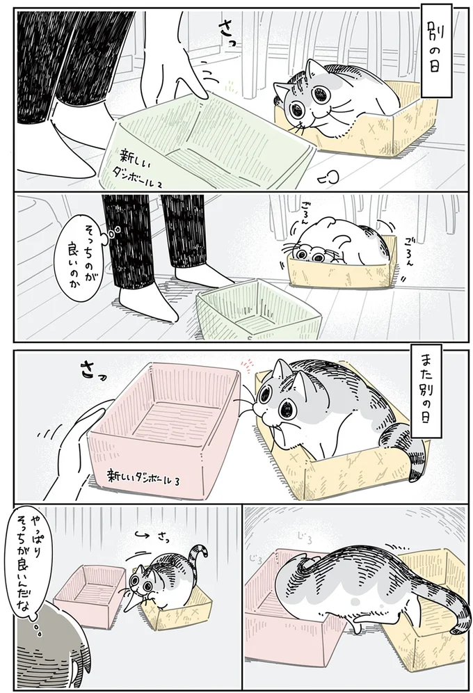 やっぱりそっちが良いんだな