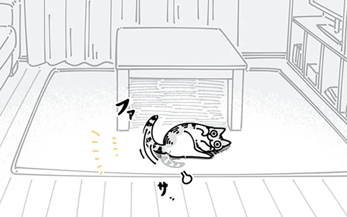 感情で動かし方が変わる？ 猫を呼んだときの反応が人によって全然違うんです