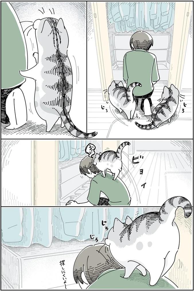 探しにくいよ〜