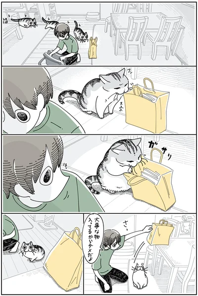 のぼれちゃったネコ