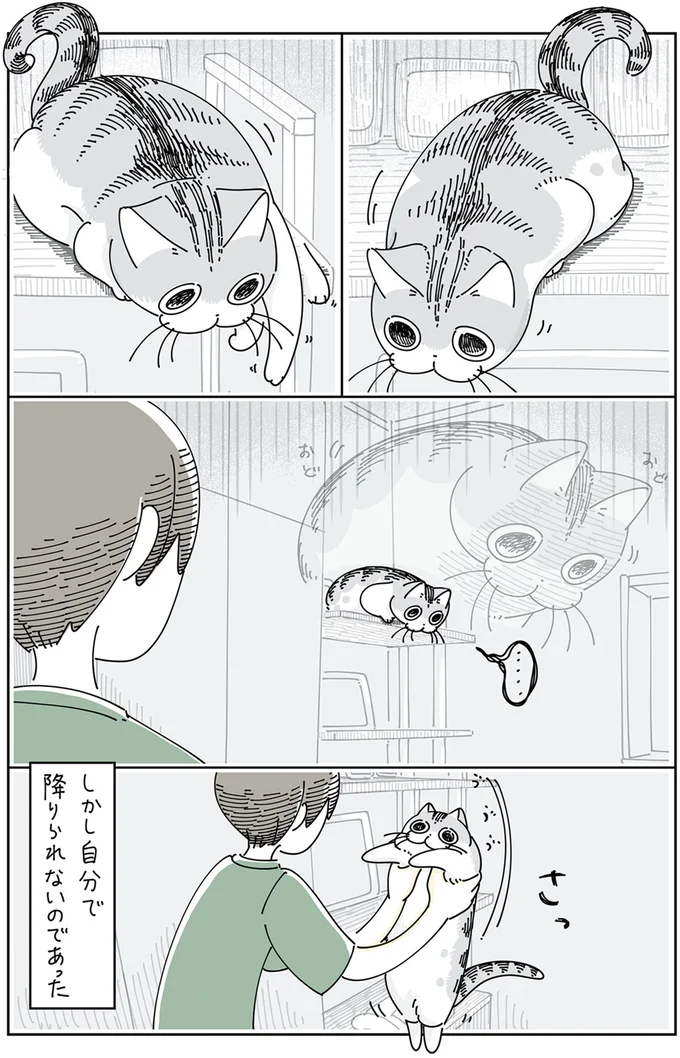 しかし自分で降りられない