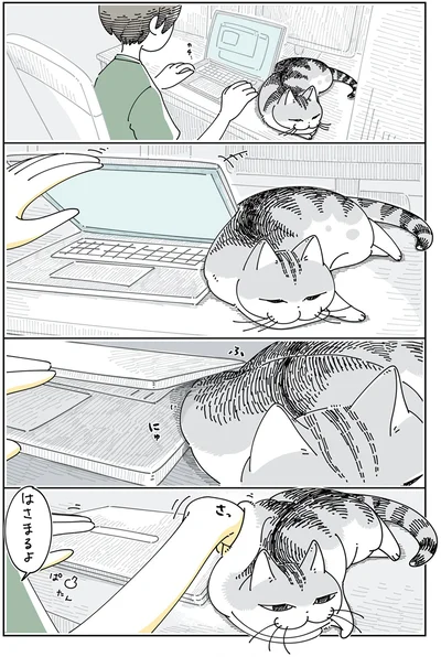 はさまりそうなネコ