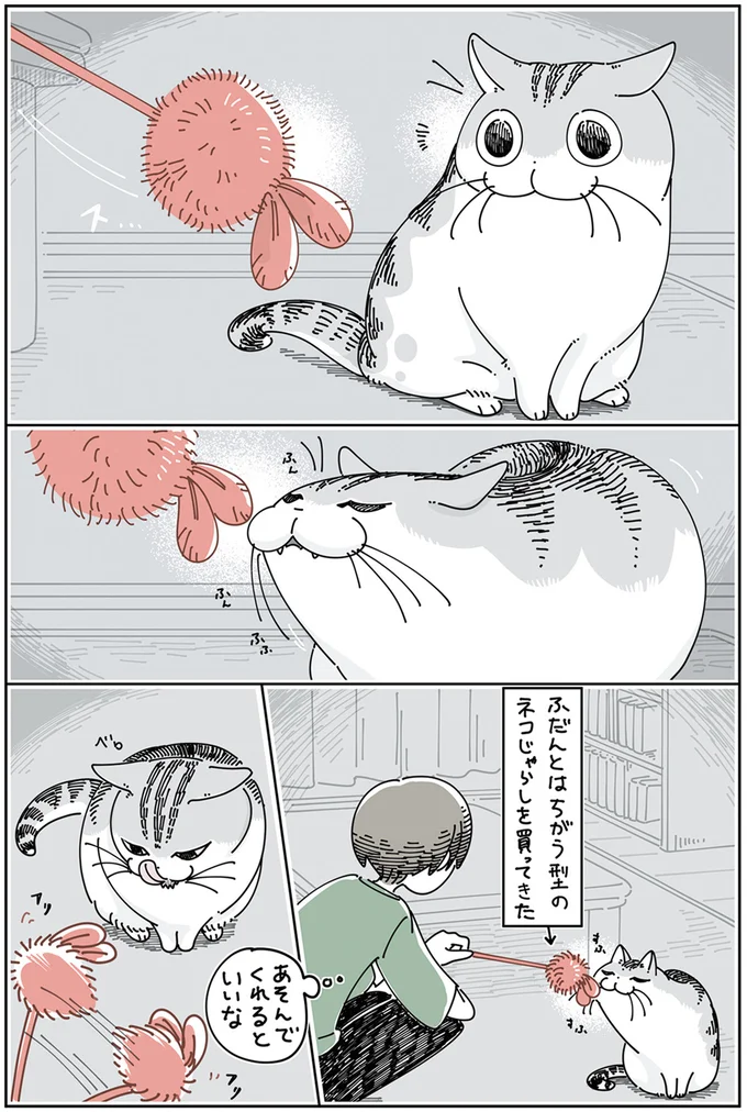 いつもと違うネコじゃらし