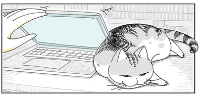 挟まりそうなのに…