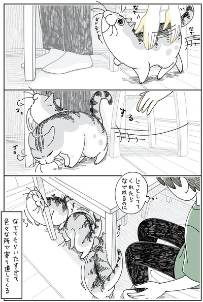 じっとしててくれたら