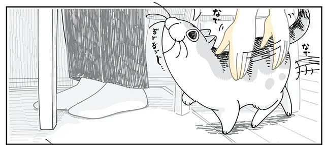 撫でてほしそうにやってくる猫。しかしその道はまっすぐではないようで？