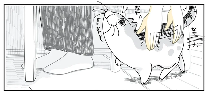 撫でてほしそうにやってくる猫。しかしその道はまっすぐではないようで？