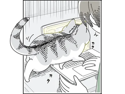 キーボードの上を歩く猫