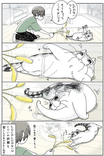 もうちょっとこっちおいでよ