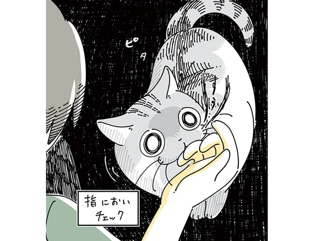 クンクン、ピタ。飼い主の指の匂いをかぐ猫の挙動が面白怖い