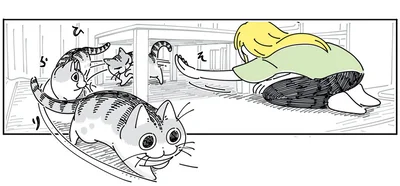 猫を捕まえたい