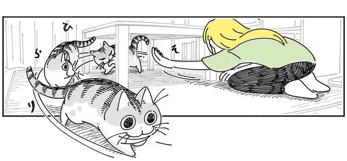 追いかけてもダメ！ どうしても猫を捕まえたい飼い主が取った作戦は
