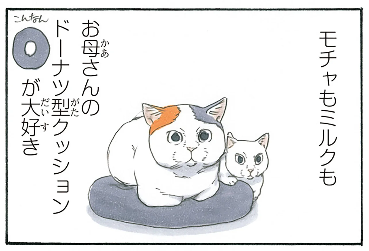 拾い猫のモチャ3 - レタスクラブ